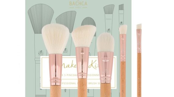 Set de pinceaux Professionnels