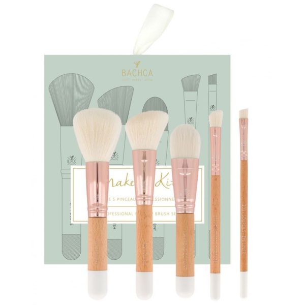 Set de pinceaux Professionnels