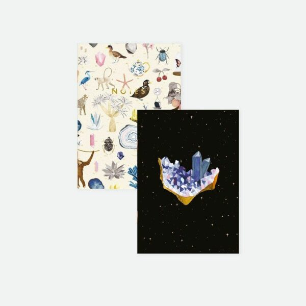 Pocket Notebook DUO - Curiosity