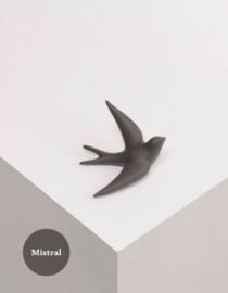 Hirondelle Volage Mistral