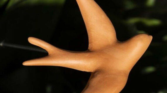 Hirondelle Volage Terracotta