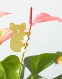 Koala - Bijoux pour plantes