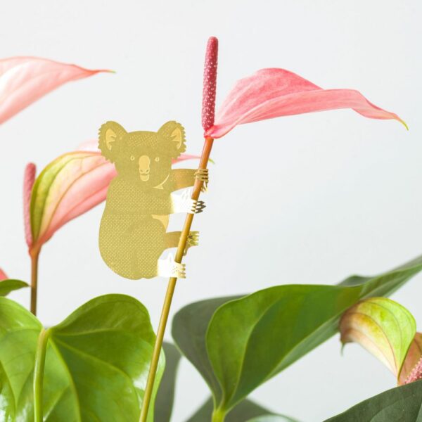 Koala - Bijoux pour plantes