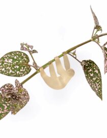 Paresseux - Bijoux pour plantes