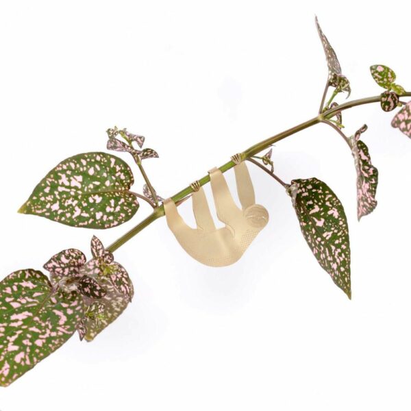 Paresseux - Bijoux pour plantes