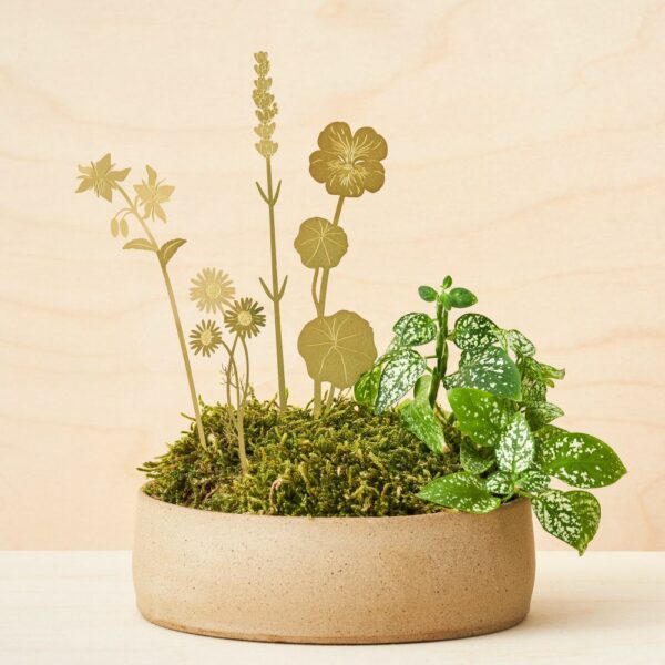Herbes et fleurs - Bijoux pour plantes