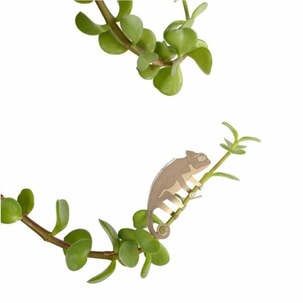 Caméléon - Bijoux pour plantes