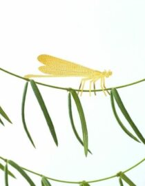 Demoiselle - Bijoux pour plantes