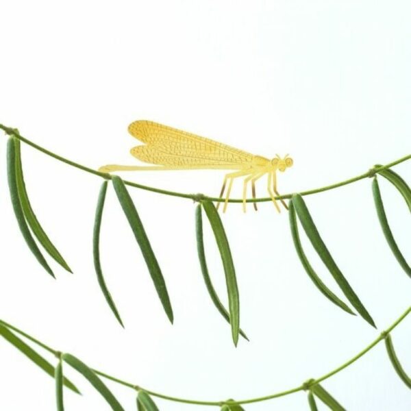 Demoiselle - Bijoux pour plantes