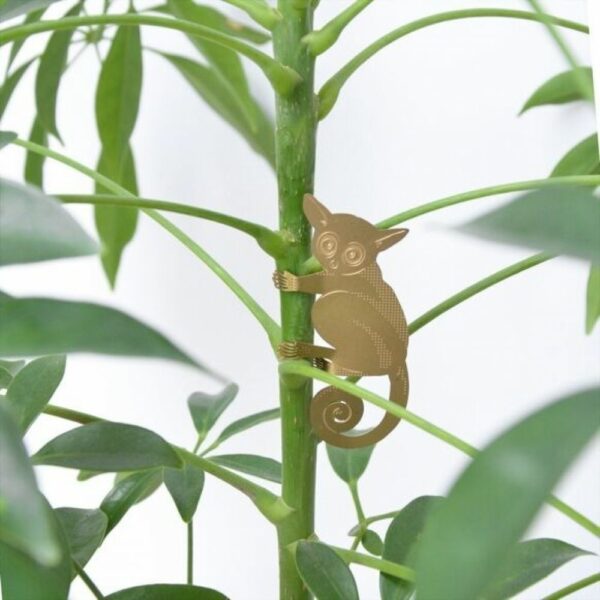 Lémurien - Bijoux pour plantes