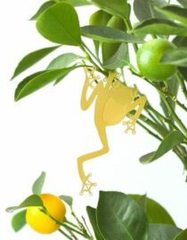 Grenouille arboricole - Bijoux pour plantes