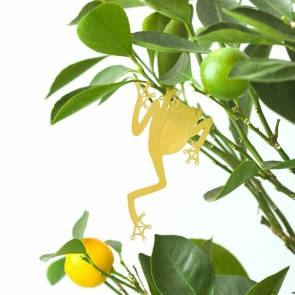 Grenouille arboricole - Bijoux pour plantes