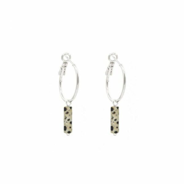 Créoles Jasper dalmatien