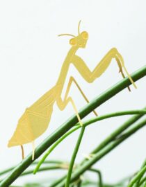 Mante religieuse - Bijoux pour plantes