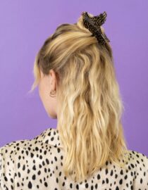 Pince à cheveux Grive