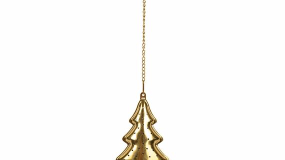 Infuseur+Chn Bte Sapin Dre 4x9