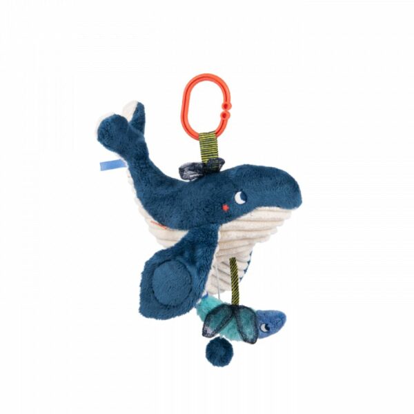 Baleine musicale Les aventures de Paulie