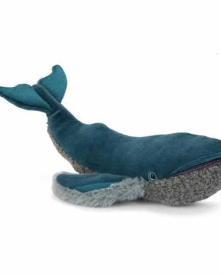 Petite baleine à bosse Tout autour du monde