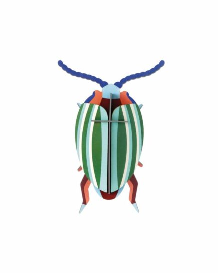 Rainbow Leaf Beetle