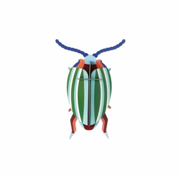 Rainbow Leaf Beetle