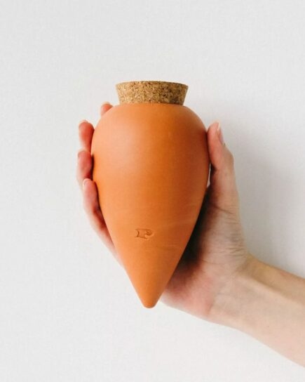 Olla Terracotta