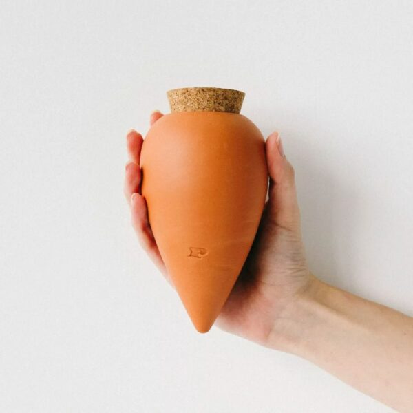 Olla Terracotta