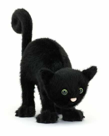 Peluche Chat hanté