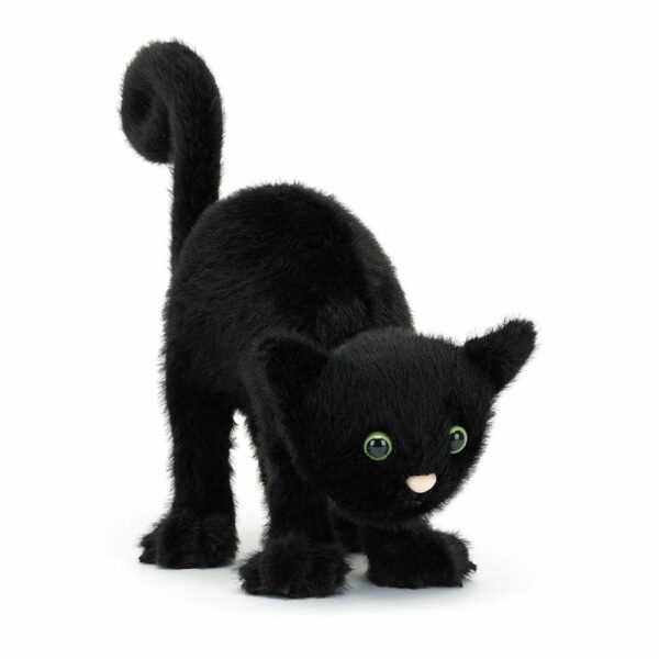 Peluche Chat hanté