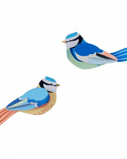 Mésange bleue