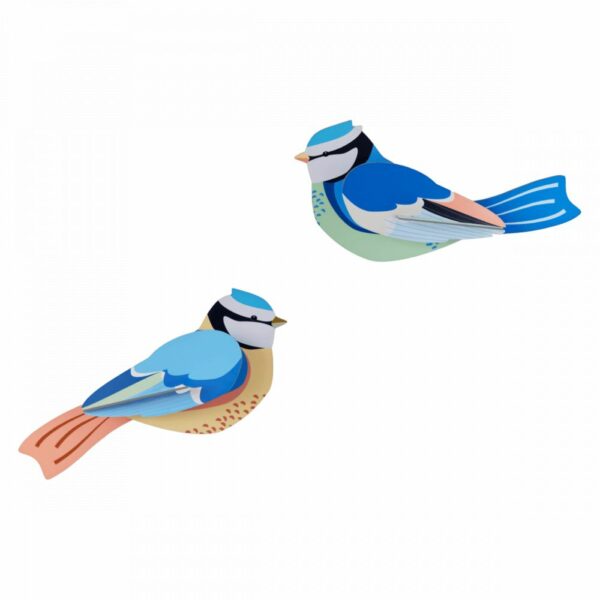 Mésange bleue