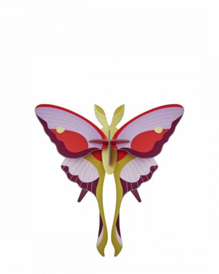 Lilac Comet Butterfly