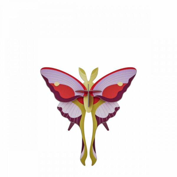 Lilac Comet Butterfly