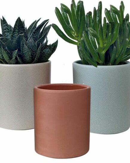 Cache-pots - Asza
