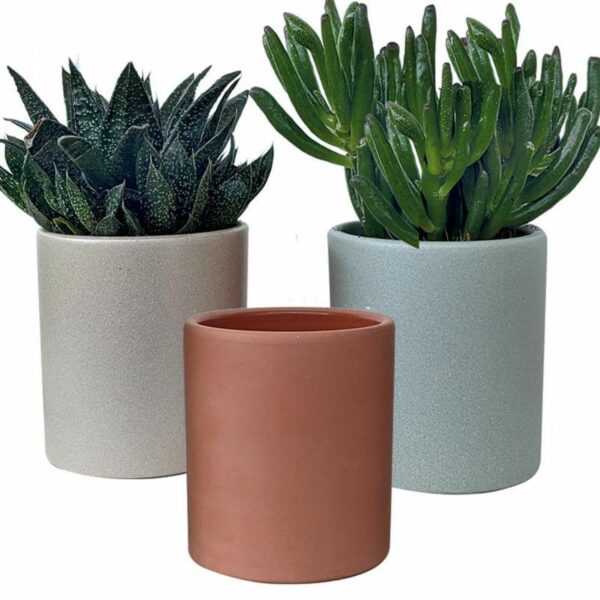 Cache-pots - Asza