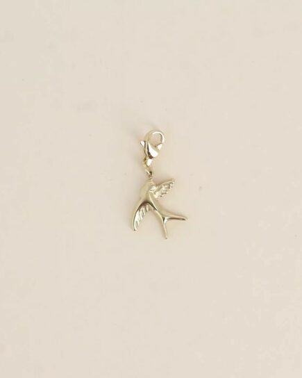 Charm - envol d'un oiseau