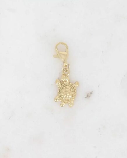 Charm - tortue