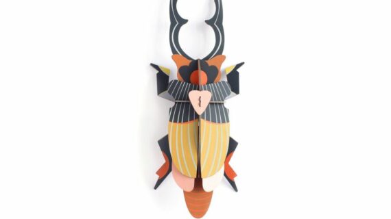 Scarabée géant