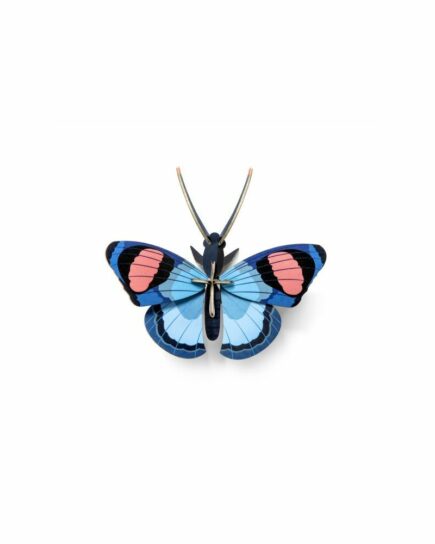 Papillon paon