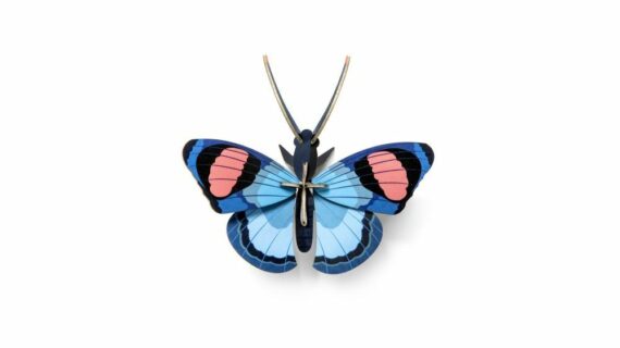 Papillon paon