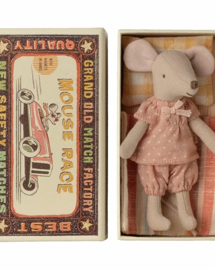 Grande souris sœur dans une boîte d'allumettes